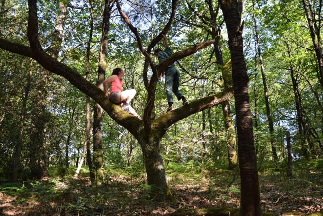 La compagnie CERS présentera les « Dialogues de l’arbre » à la ferme du bois des Anses à Nantes le 3 juillet à 10 h du matin. La compagnie CERS présentera les « Dialogues de l’arbre » à la ferme du bois des Anses à Nantes le 3 juillet à 10 h du matin.
