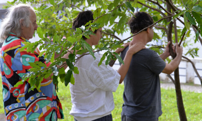 Pierre Capelle fait le contact à l'arbre à Salvador de Bahia © Le Musée de l'Invisible Pierre Capelle fait le contact à l'arbre à Salvador de Bahia © Le Musée de l'Invisible