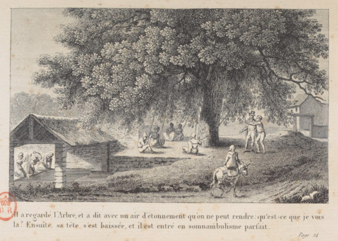 Le contact à l'arbre est une pratique ancienne. En 1807 le marquis de Puységur l'expérimente avec plusieurs personnes reliées à un orme avec des cordes. Cette expérience sera refaite après deux siècle à Lahitte-Toupière pour le festival Les nuits des forêts. Le contact à l'arbre est une pratique ancienne. En 1807 le marquis de Puységur l'expérimente avec plusieurs personnes reliées à un orme avec des cordes. Cette expérience sera refaite après deux siècle à Lahitte-Toupière pour le festival Les nuits des forêts.