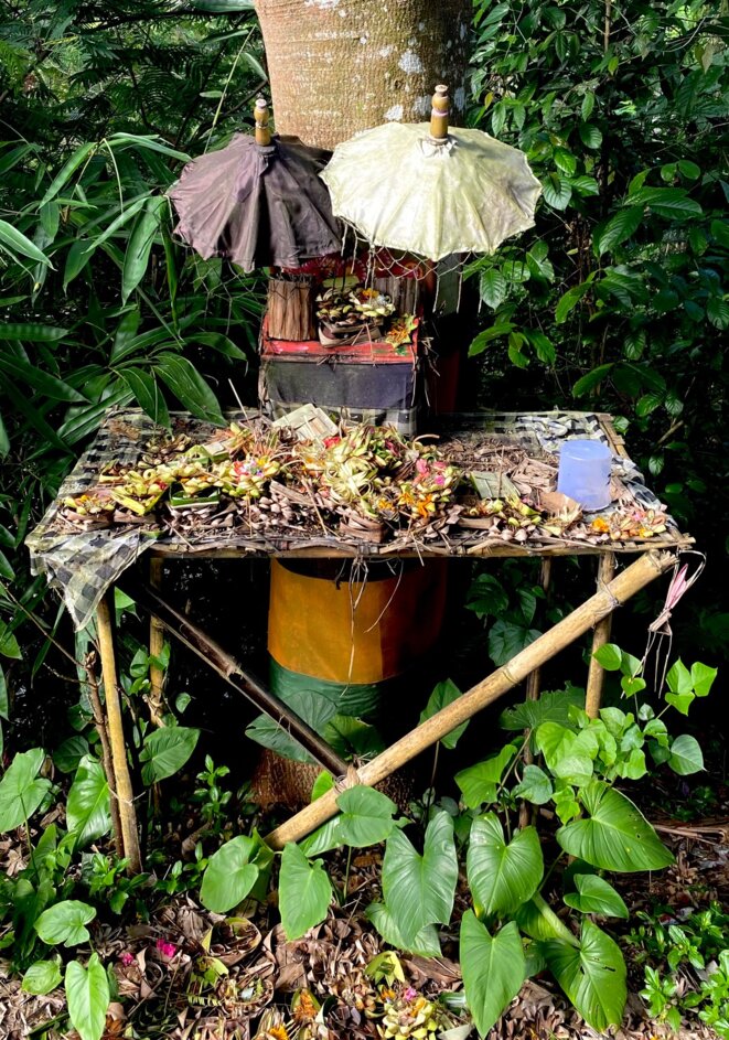 JUSTE UNE IMAGE DE BALI (7) : "C'EST UN PETIT PELINGGIH"