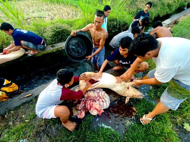 JUSTE UNE IMAGE DE BALI (17) : BE HAPPY, "BE BALI"