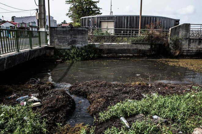 Près de la maison de Frantz Lubin, le canal pollué par les rejets de la station d’épuration de Petit-Bourg, le 19 juin 2021. © Photo Alberto Campi / We Report