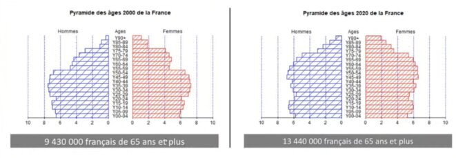 Démographie française. Pyramide des âges en 2000 et 2020. Démographie française. Pyramide des âges en 2000 et 2020.