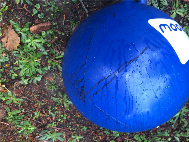 Ballon d'enfant recouvert de suies après le passage du panache de l'incendie de Lubrizol, dans une commune de la périphérie de Rouen, le 3 octobre 2019 (JL) Ballon d'enfant recouvert de suies après le passage du panache de l'incendie de Lubrizol, dans une commune de la périphérie de Rouen, le 3 octobre 2019 (JL)