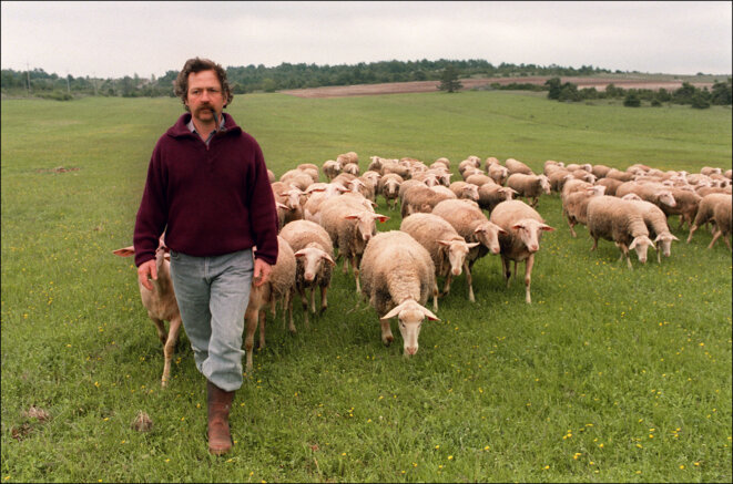 José Bové avec ses brebis sur le Larzac, en 1993. © Jean-Pierre Muller / AFP José Bové avec ses brebis sur le Larzac, en 1993. © Jean-Pierre Muller / AFP