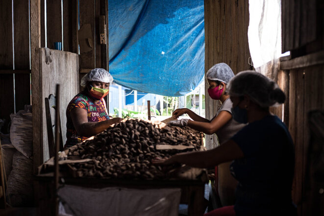 Des employées lors de la première étape de tri de la noix d'Amazonie. © Photo Jean-Mathieu Albertini pour Mediapart Des employées lors de la première étape de tri de la noix d'Amazonie. © Photo Jean-Mathieu Albertini pour Mediapart