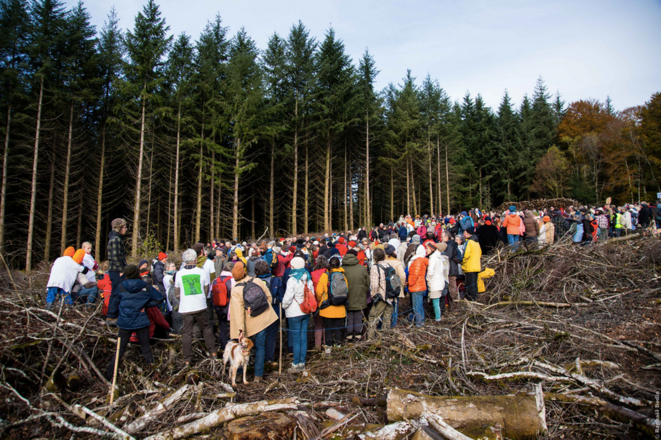 Dans le Morvan, les forêts de feuillus disparaissent au profit de plantations de Douglas (crédit: Raphael Bodin / Canopée) Dans le Morvan, les forêts de feuillus disparaissent au profit de plantations de Douglas (crédit: Raphael Bodin / Canopée)