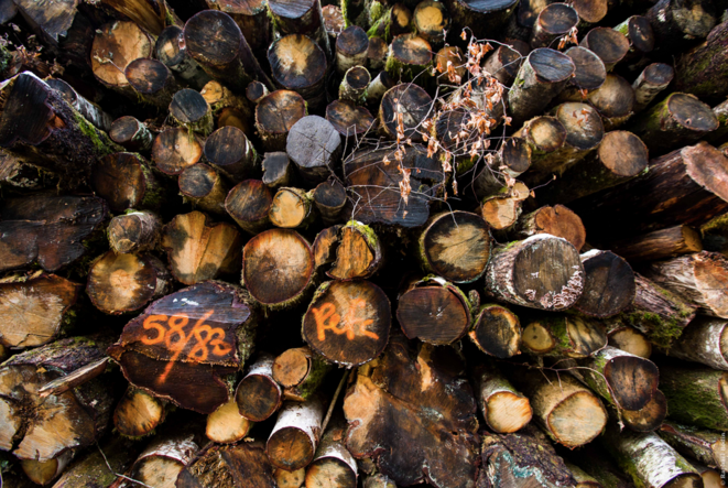 C’est la coopérative forestière Unisylva, adhérente au label PEFC, qui a réalisée cette coupe rase: l’ensemble des bois sont donc « certifiés » être issus d’une gestion durable des forêts. C’est la coopérative forestière Unisylva, adhérente au label PEFC, qui a réalisée cette coupe rase: l’ensemble des bois sont donc « certifiés » être issus d’une gestion durable des forêts.