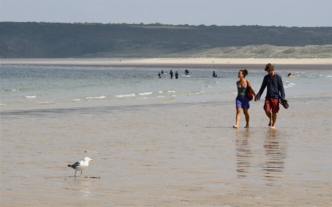 Les mains, l'amour, la mouette © Patrice Morel (juillet 2021) Les mains, l'amour, la mouette © Patrice Morel (juillet 2021)