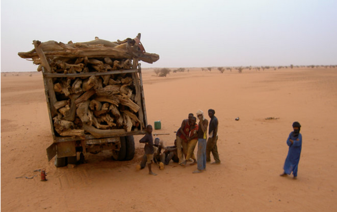 Dans la réserve naturelle nigérienne de l’Aïr-Ténéré, les touaregs regrettent que les gardes-parcs n’aient pas davantage de moyens afin de contrôler la surexploitation du bois sur leurs territoires © Dimitri de Boissieu Dans la réserve naturelle nigérienne de l’Aïr-Ténéré, les touaregs regrettent que les gardes-parcs n’aient pas davantage de moyens afin de contrôler la surexploitation du bois sur leurs territoires © Dimitri de Boissieu