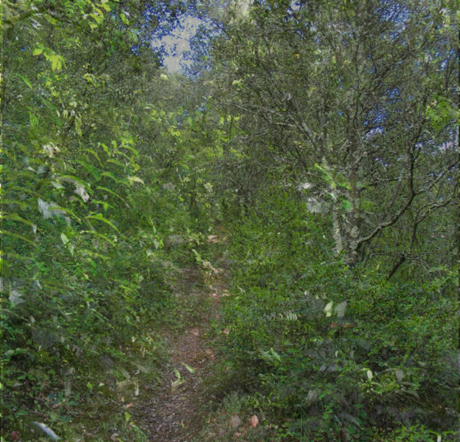 Haut comme trois pommes