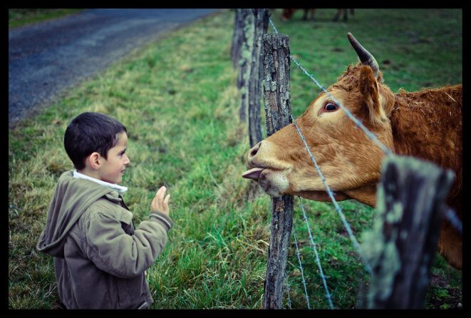 Bisous baveux ? © Dominique Garcin-Geoffroy Bisous baveux ? © Dominique Garcin-Geoffroy