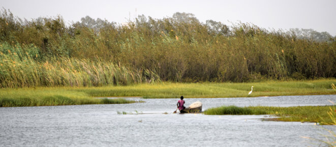 Plaine du fleuve Sénégal © A.H.G. Randon