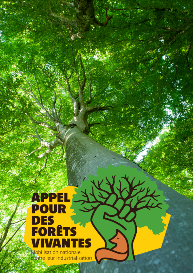 Pour des forêts vivantes : une année d'actions !