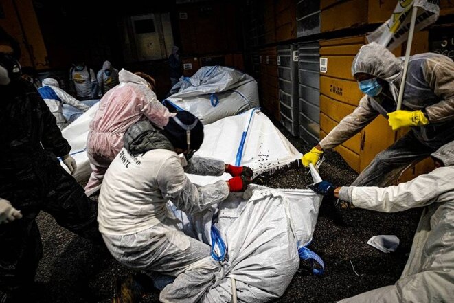 Faucheurs·ses Volontaires : ces OGM cachés dont on ne veut pas