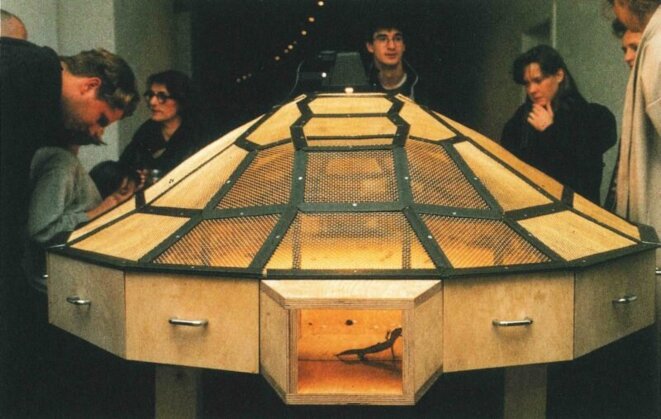 1993 - Huang Yong Ping - Théâtre du monde (cette installation contenait des insectes et reptiles que les spectateurs pouvaient regarder s'entre-dévorer)