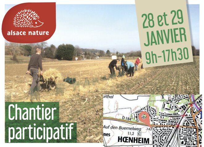 Hoenheim (67) : chantier participatif de plantation de haies et bosquets