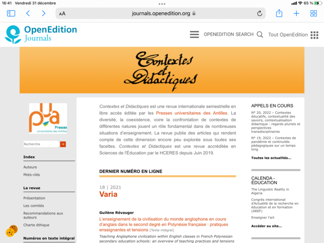 Capture d’écran du site jounalsopeneditions.org