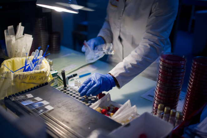 Technicien de laboratoire analysant des tests biologiques. © Nathan Laine / Hans Lucas via AFP