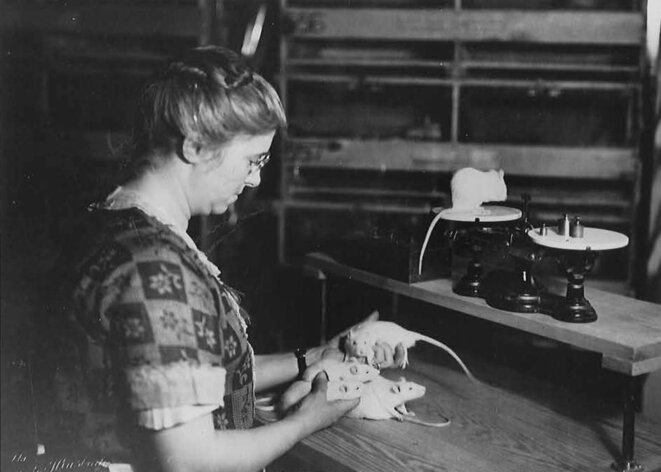 Miscellanées du mois de juin 2020