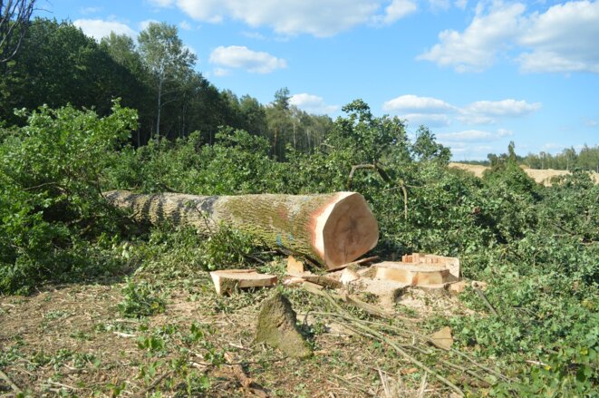 Arrêtons de soutenir l'extension logistique qui détruit nos campagnes