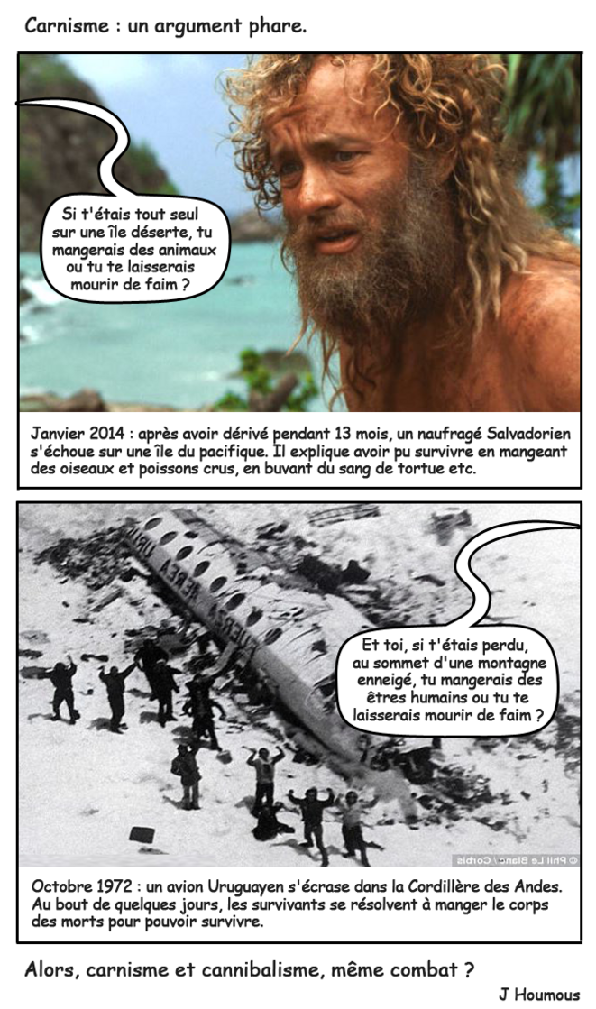 Et si t'étais sur une île déserte ?