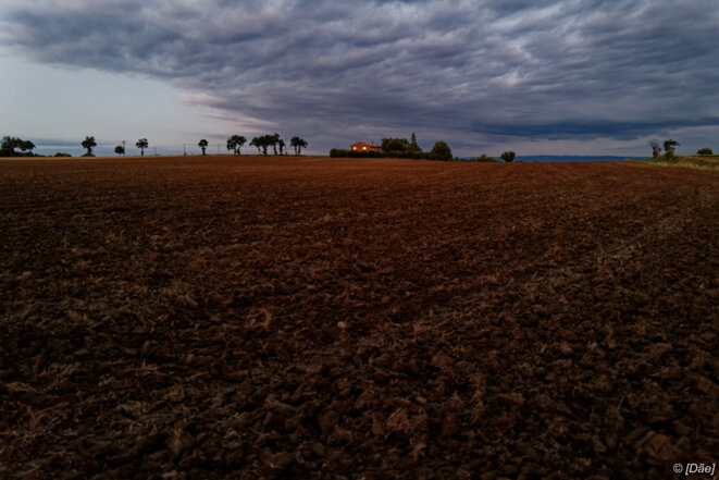Les Safer seraient-elles en train de faire leur révolution verte ?