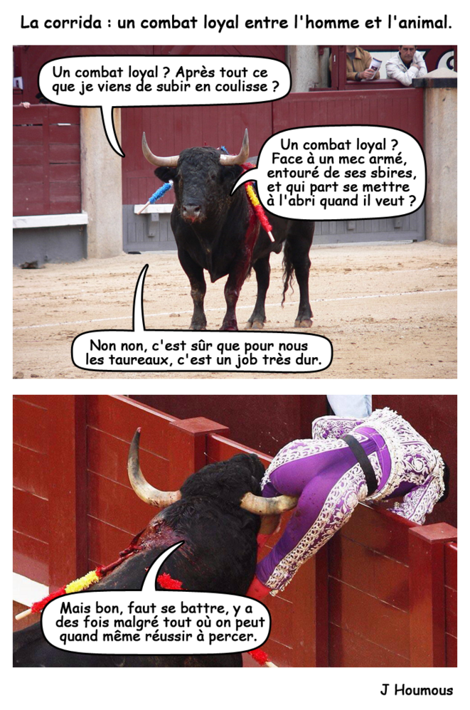 Corrida : un combat loyal entre l'homme et l'animal