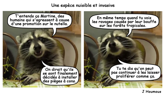 Une espèce nuisible et invasive