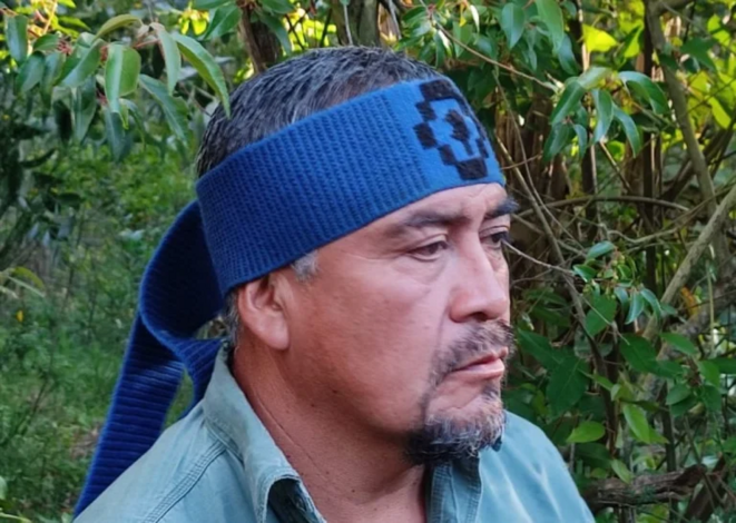 Chili / Wallmapu: Entretien avec Héctor Llaitul