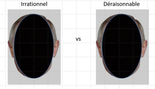 Irrationnel et déraisonnable, possible ?