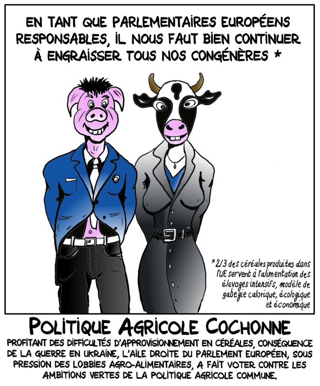 Politique Agricole Cochonne