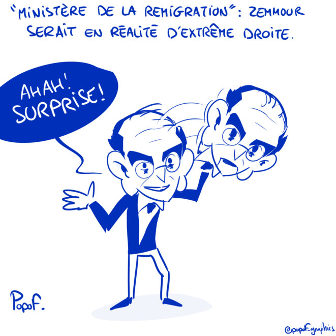 Ministère de la remigration