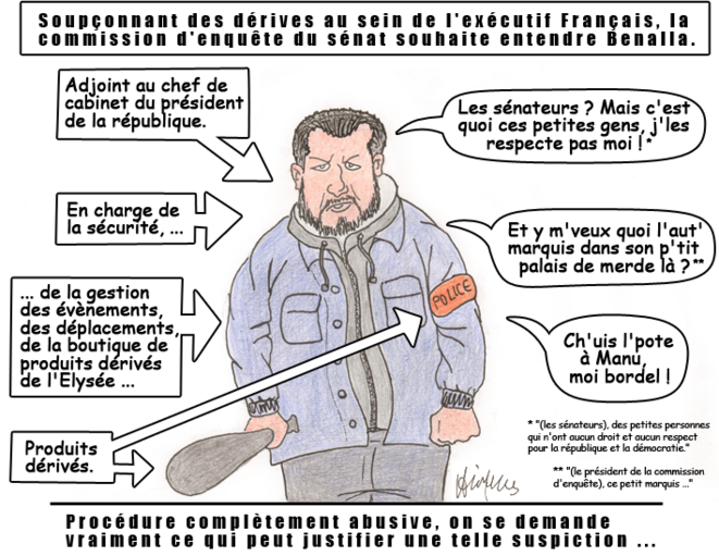 Benalla devant la commission d'enquête du sénat