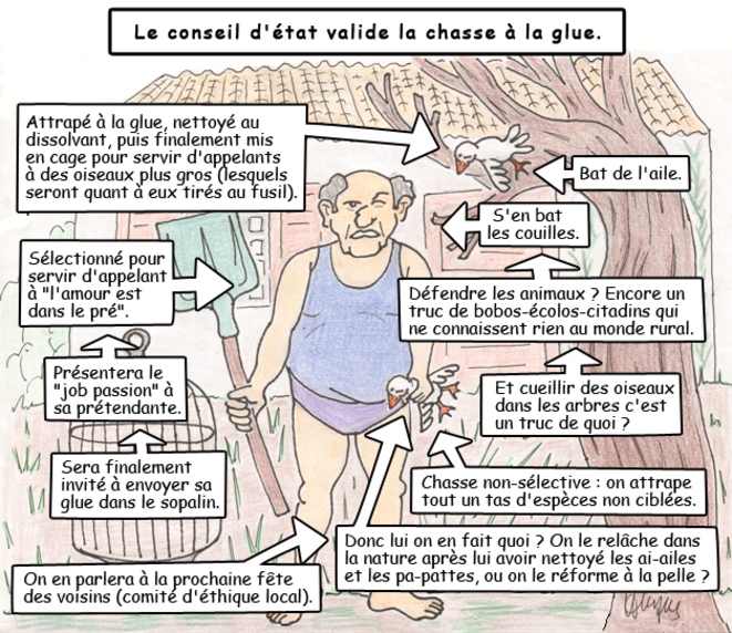 Le conseil d'état valide la chasse à la glue