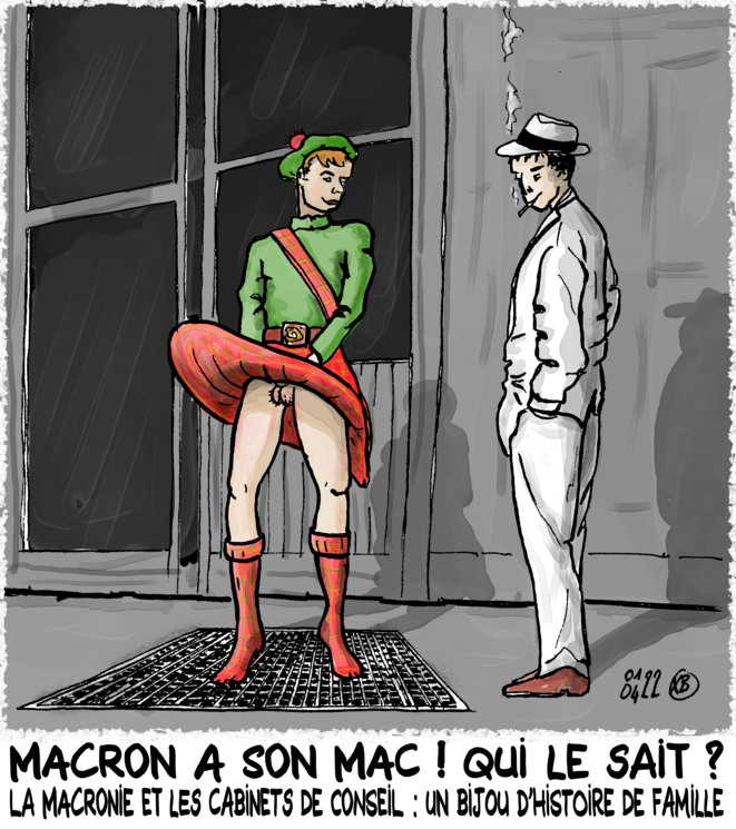 McKinsey, la maquerelle de la République