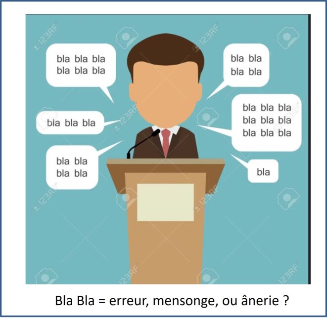 Politique : l'erreur, le mensonge, et l'ânerie