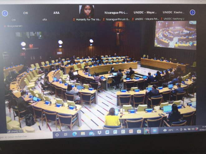 Diplomatie Humanitaire Internationale : cheville ouvrière du développement durable