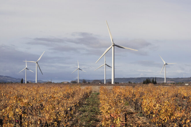 Ferme éolienne sur un terrain viticole, dans l'Aude. © Photo Idriss Bigou-Gilles / Hans Lucas via AFP