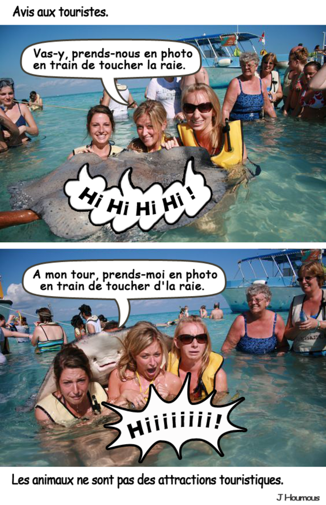 Attractions touristiques.