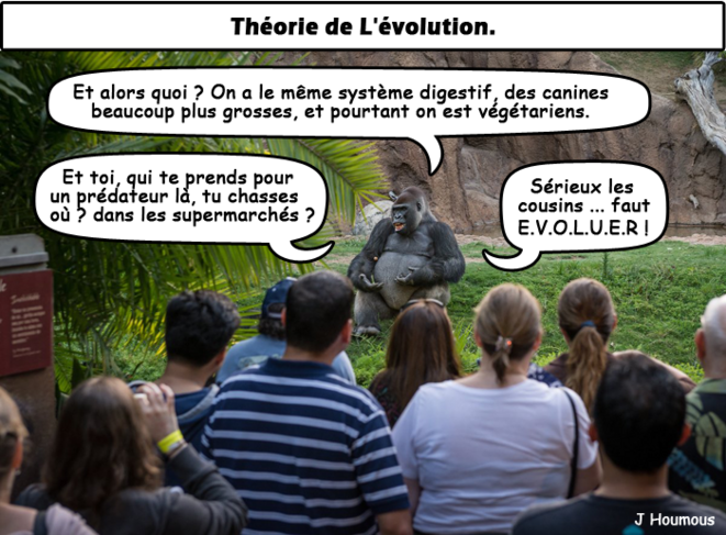Théorie de l'évolution.