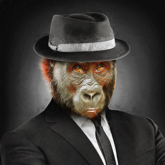 Le quadrupède en moi