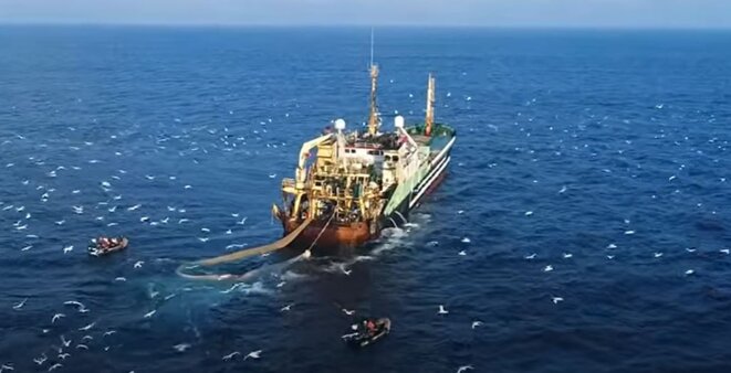 Boycotter les produits issus de la pêche au chalut ?