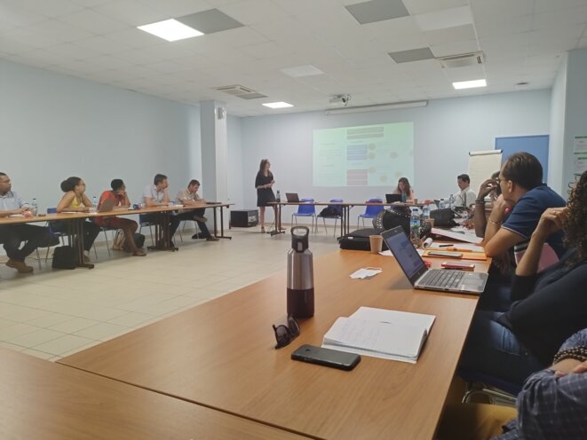 Développement Durable : la Martinique rédige sa stratégie de l'économie circulaire