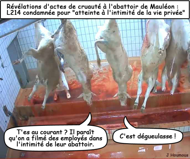 Abattoir de Mauléon: d'actes de cruauté à l'intimité de la vie privée
