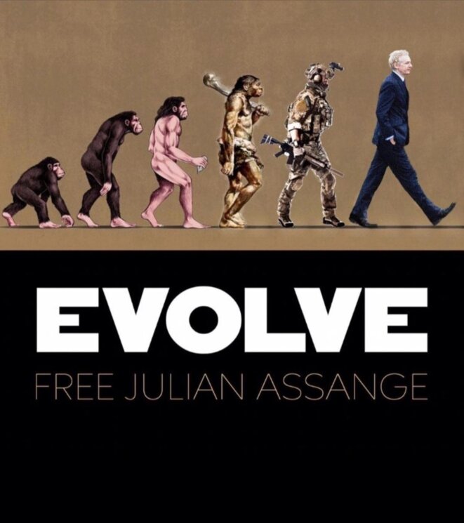 Free Julian Assange © DR