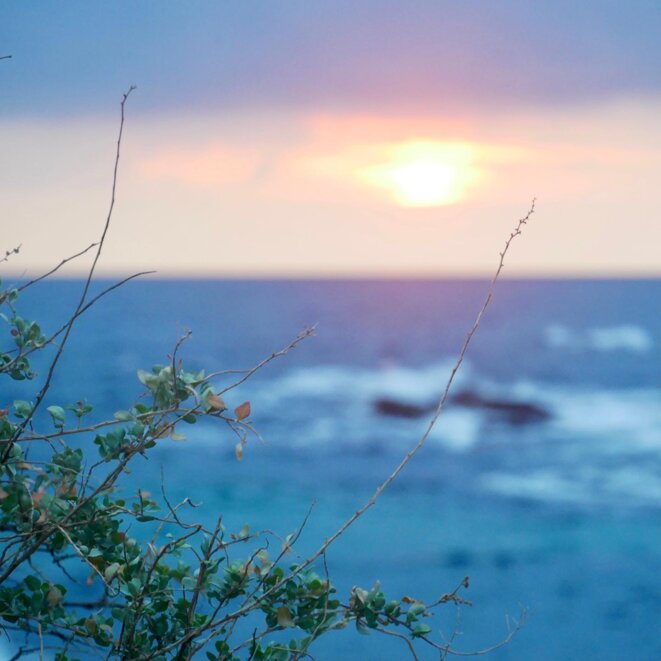Des sentiments mêlés face à l'urgence
