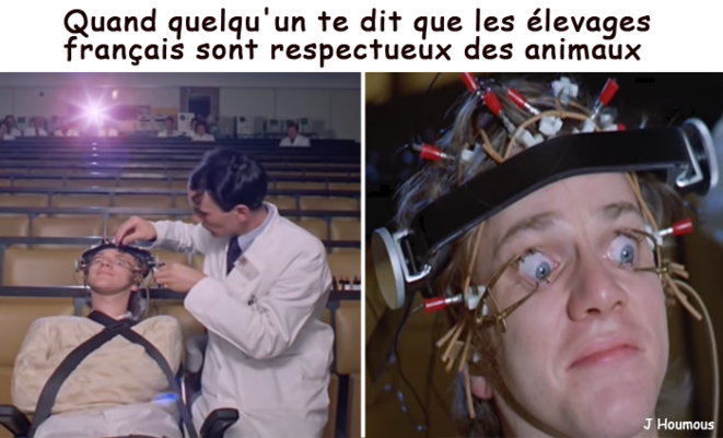 Ouvrir les yeux sur les élevages