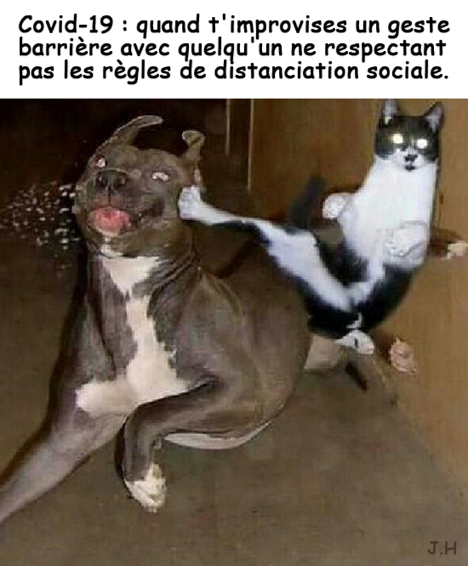 Covid-19 : distanciation sociale & gestes barrières