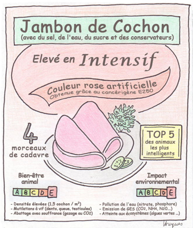 L'étiquetage des produits végétariens : un enjeu de société majeur